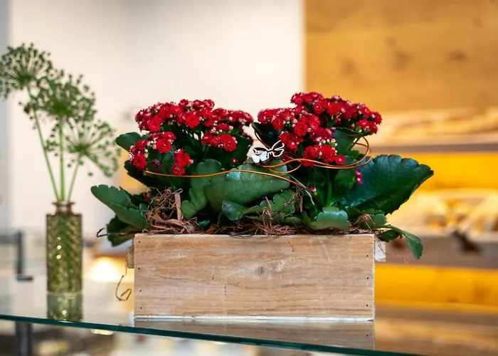 Schlossberg Superior