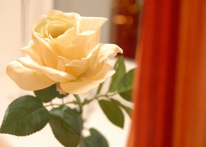 Schlossberg Superior Hotell 3*