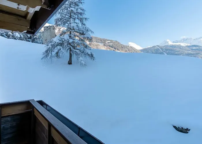 Schlossberg Superior