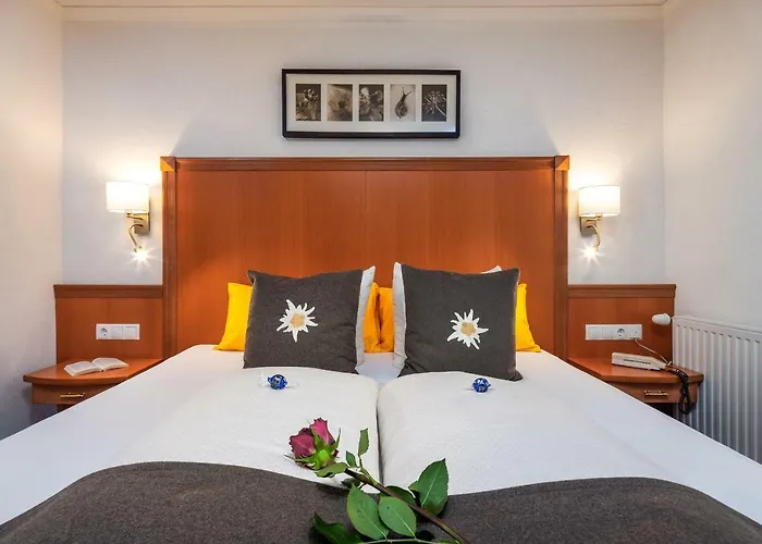 Schlossberg Superior